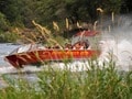 Jet boat tour on the scenic Rogue River