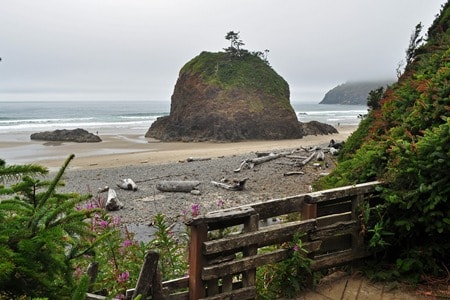 Rocky coastal beach with sea stack and driftwood near Sea Escape, Northern California