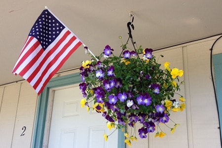 Hanging flower basket with purple and yellow petunias and American flag