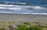 Shorebirds on the secluded beach near Sea Escape Lodging