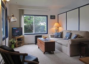 Cozy studio apartment living room with sofa and garden view
