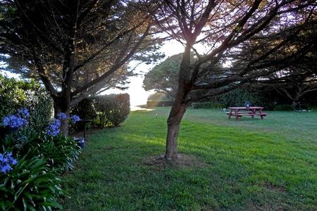 Sea Escape Lodging building with garden and trees