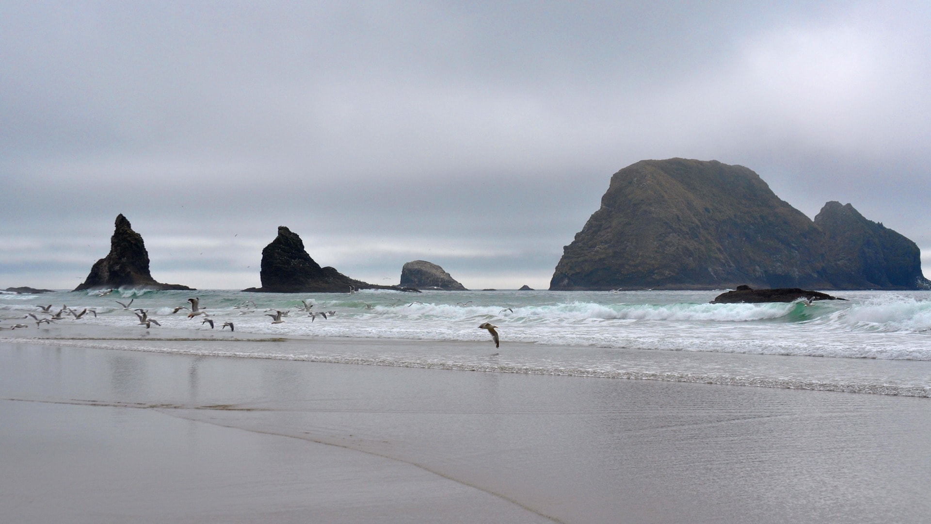 Sea stacks and seagulls on the Northern California beach
